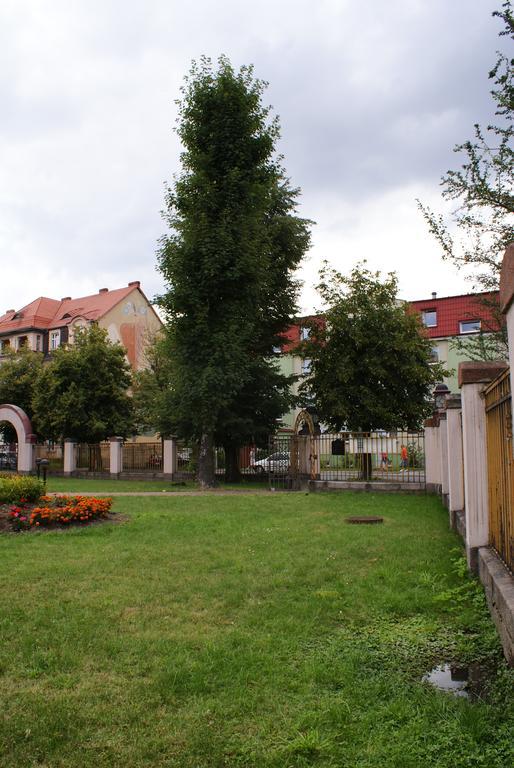 Villa Bergera Dzierżoniów Extérieur photo
